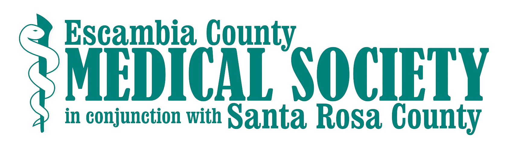 ECMS logo.png logo